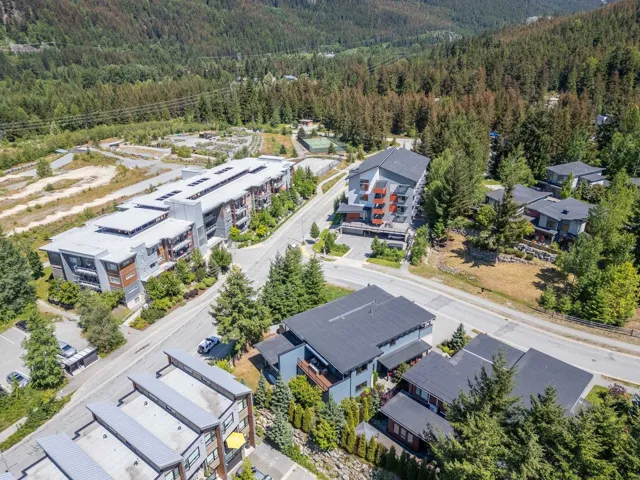 Aerial view of residential area with a forest