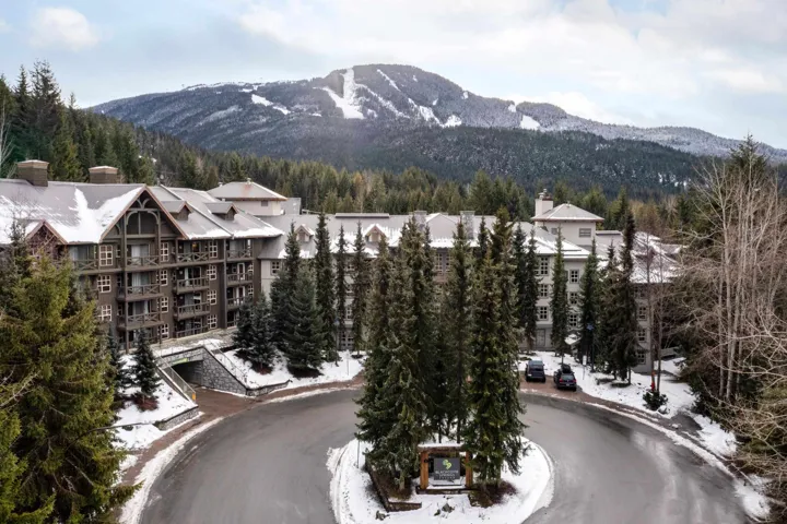 View of mountain background featuring a forest