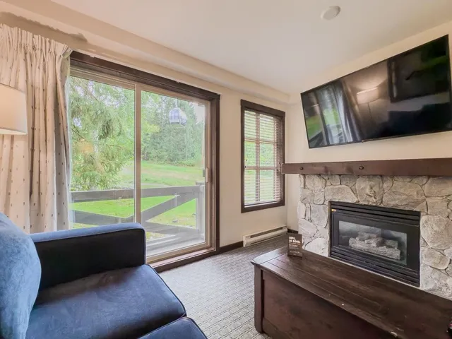 Living area with a baseboard heating unit and a stone fireplace