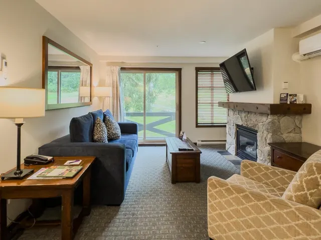 Living area featuring a stone fireplace, dark colored carpet, a baseboard heating unit, and a wall mounted air conditioner