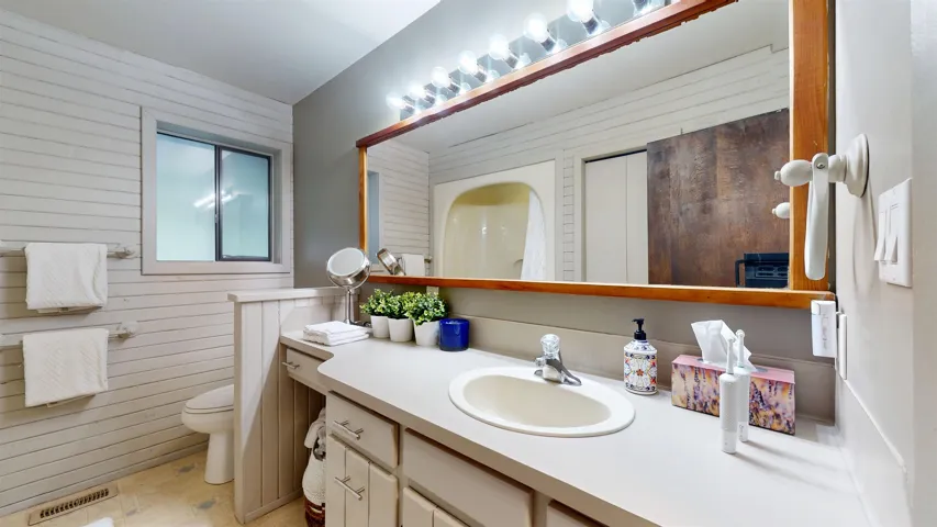 Bathroom with wooden walls, toilet, visible vents, and vanity
