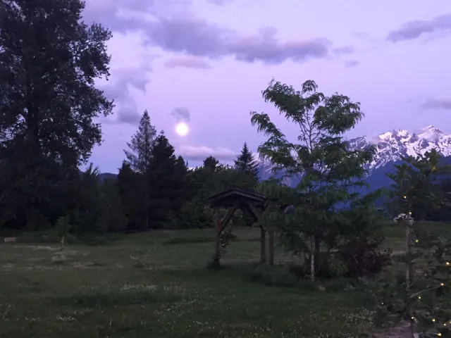View of local wilderness