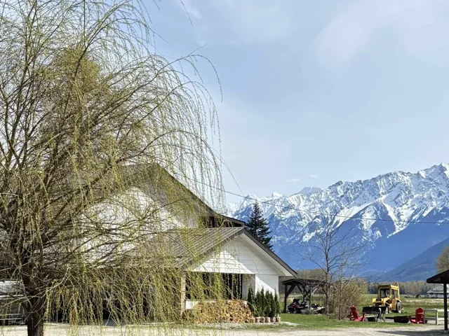 Mountain view