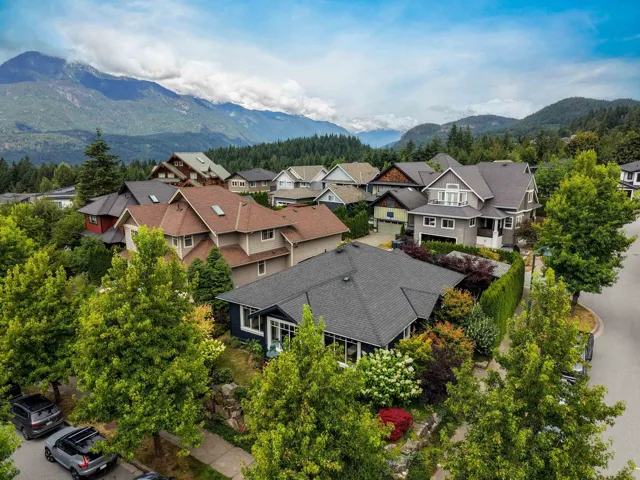 Residential street lined with mature trees, featuring a mix of architectural styles, shingle roofs, and established landscaping