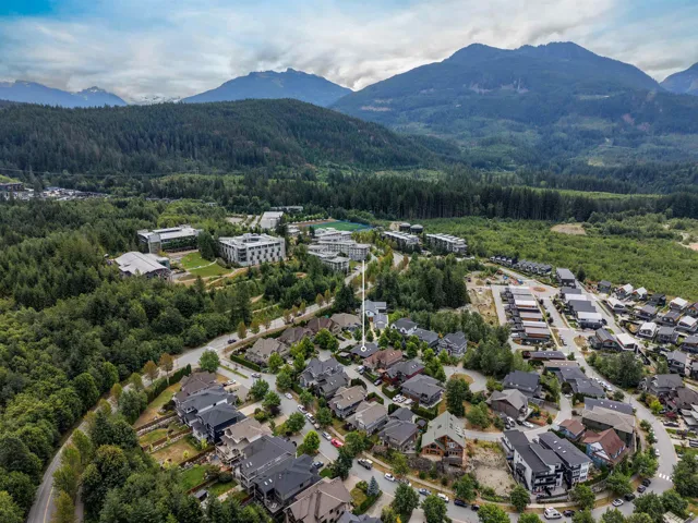 Residential neighborhood featuring varied architectural styles and extensive natural surroundings