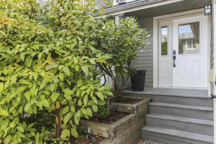 Front entryway featuring a white door with a glass inlay, gray-painted steps, tiered timber retaining walls, and established landscape greenery