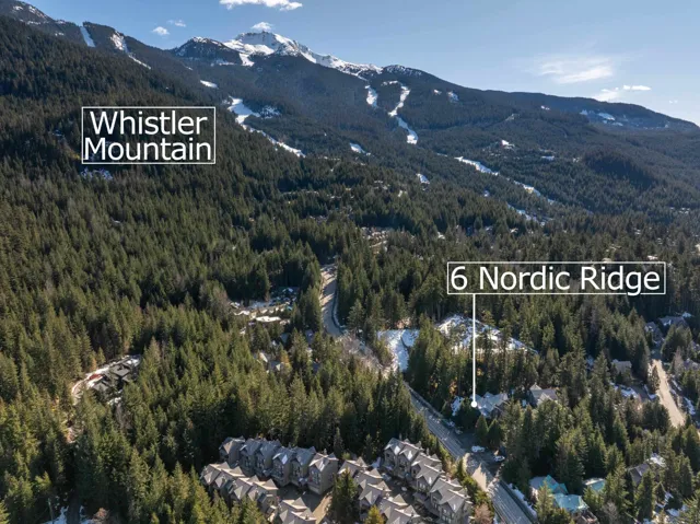 View of mountain feature with a wooded view
