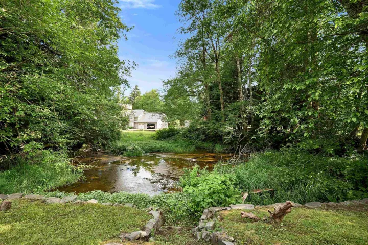 Natural water feature surrounded by dense foliage and mature trees