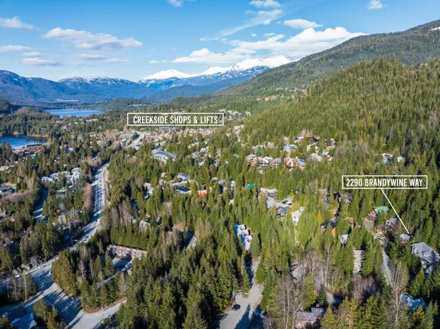 Bird's eye view of a mountain backdrop and a heavily wooded area