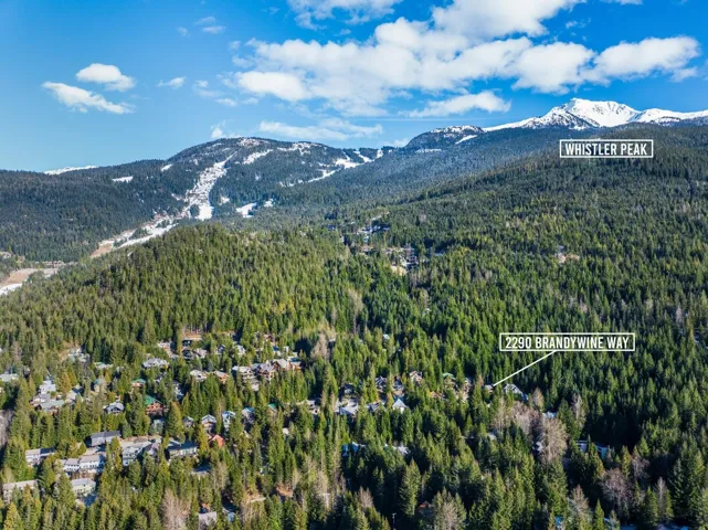 Aerial view of a mountain backdrop and a heavily wooded area