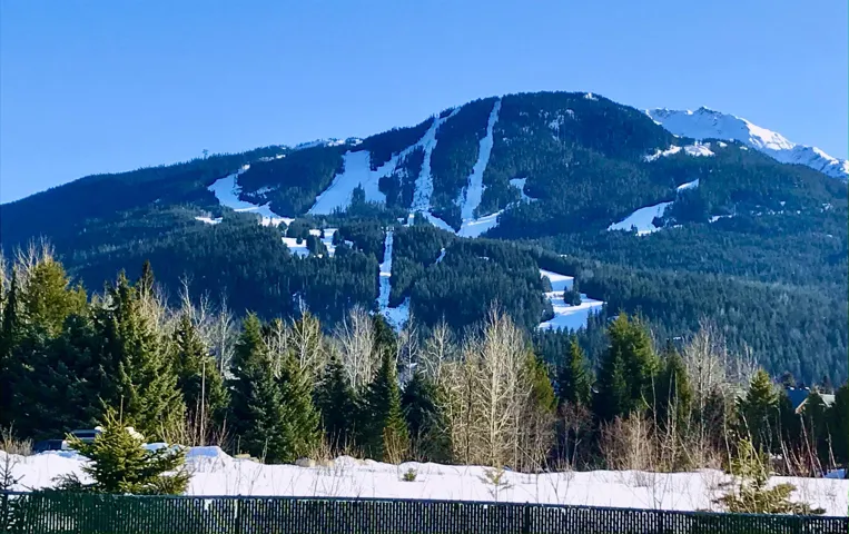 View of mountain background featuring a forest