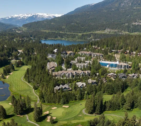Aerial perspective showcasing a residential area amidst a forested landscape