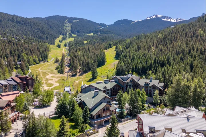 Bird's eye view of a mountainous background and a heavily wooded area