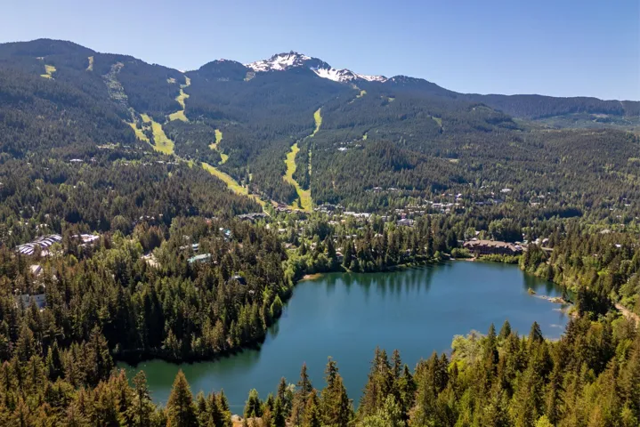 Drone / aerial view of a forest and a water and mountain view