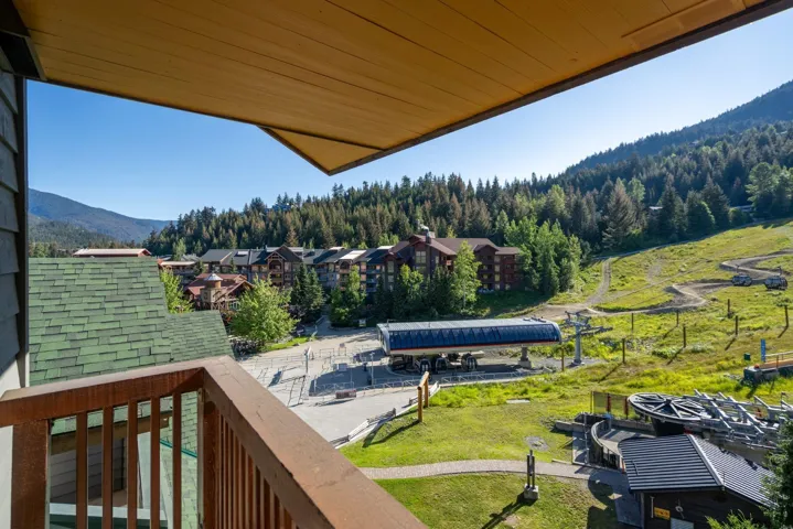 Mountain view with a forest