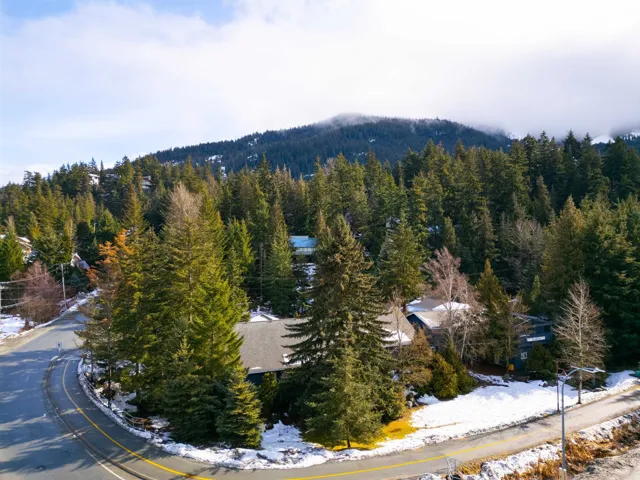 Bird's eye view featuring a view of trees