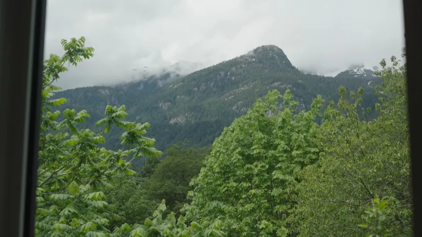Mountain landscape featuring dense evergreen and deciduous trees under a cloudy sky