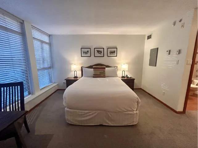 Bedroom featuring dark carpet and electric panel