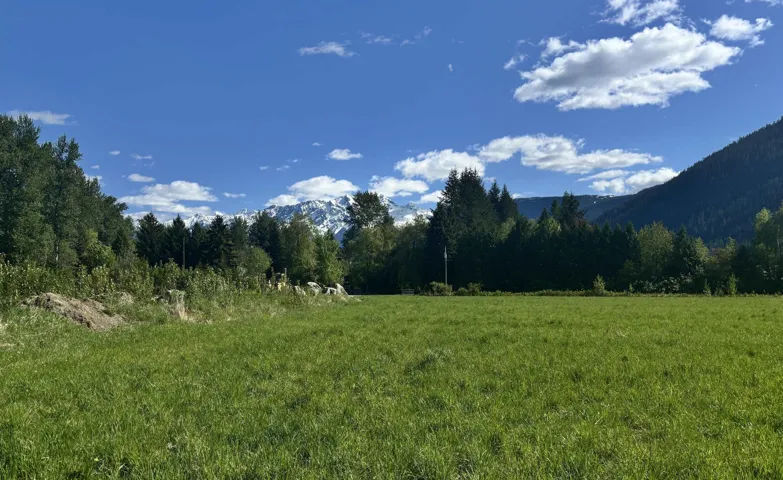 Mountain view with a heavily wooded area and rural landscape