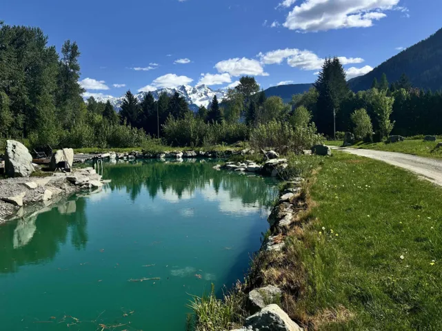 Water view featuring a forest and mountains