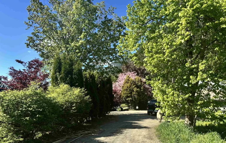 View of dirt / gravel road