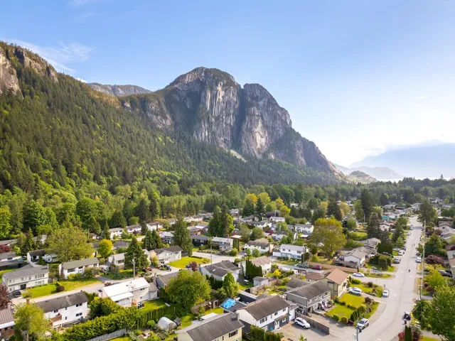 Aerial perspective of suburban area with a mountainous background and a forest