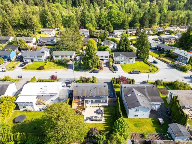Aerial view of residential area with a forest