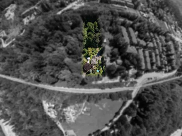 Aerial perspective highlighting a property bordered by extensive tree coverage