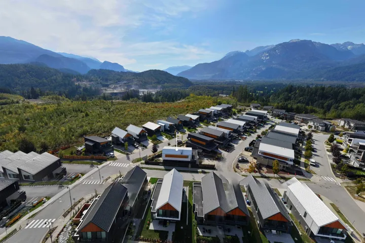Aerial view of residential area with a mountainous background and a forest