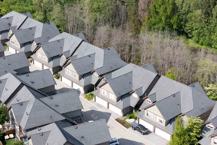 Aerial perspective of suburban area featuring a forest