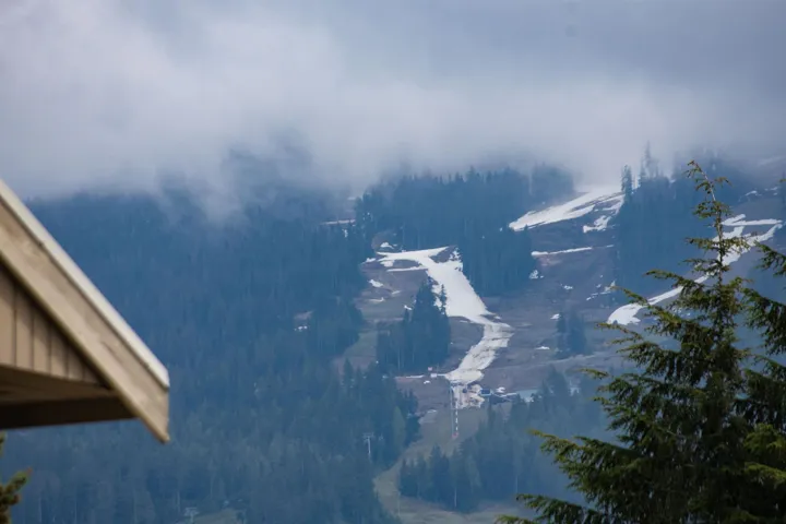 Mountainous terrain featuring dense evergreen forests and snow-covered slopes