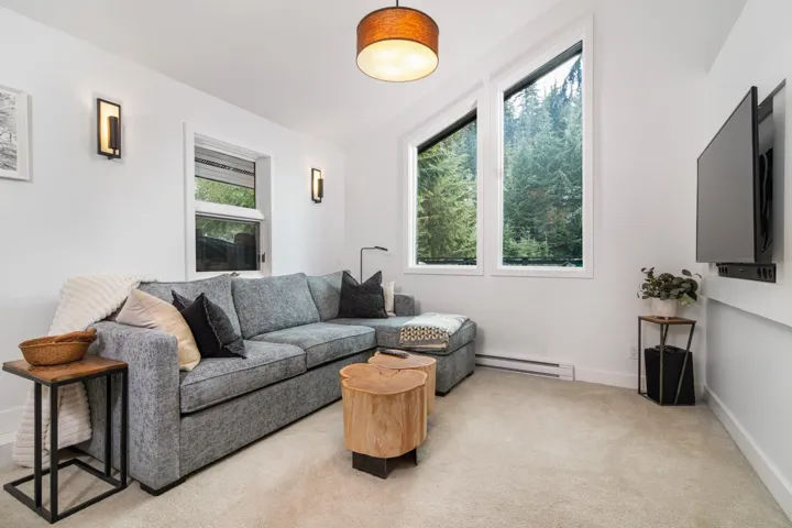 Living room featuring a baseboard radiator and light colored carpet