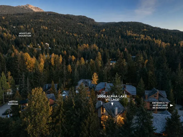 Aerial perspective showcasing a residential community nestled within a dense forest, with a prominent mountain backdrop
