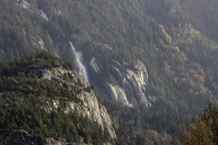 View of property location featuring a forest