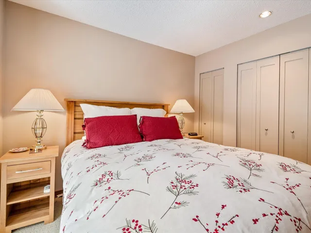 Bedroom featuring multiple closets, a textured ceiling, and carpet