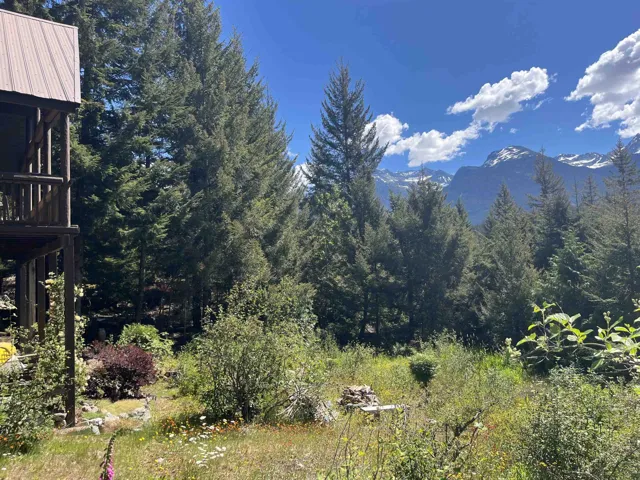 Expansive natural landscape with mature evergreen trees and distant snow-capped mountains