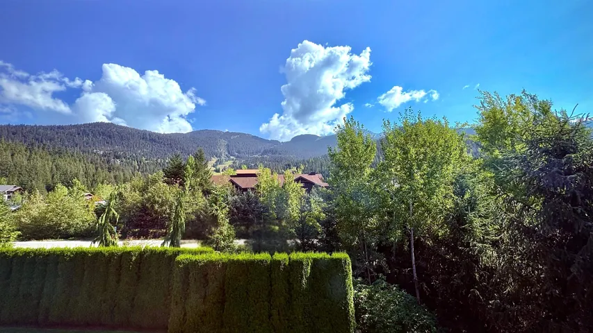 View of mountain background with a forest