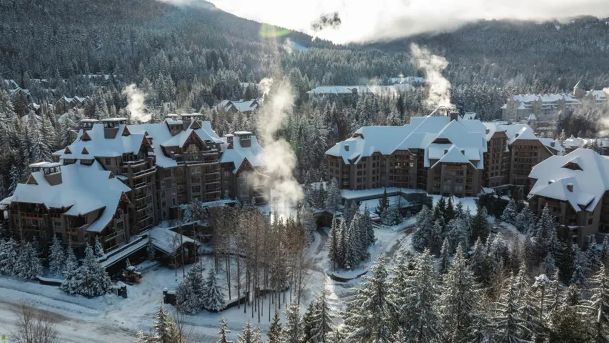 Snowy aerial view with a mountain view and a wooded view