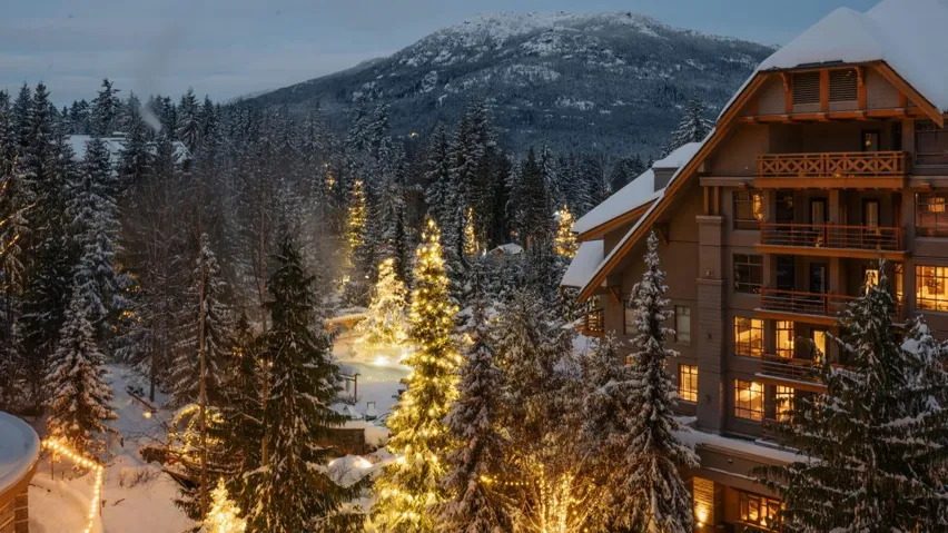 Mountain view featuring a heavily wooded area