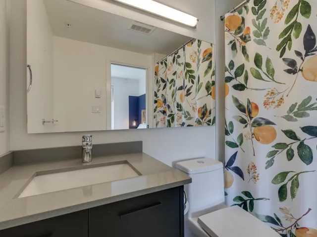 Full bathroom with toilet, visible vents, and vanity