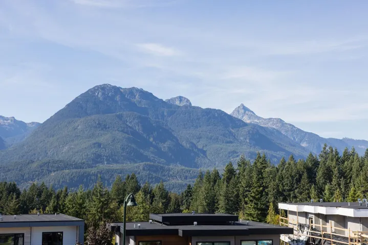 View of mountain background with a forest