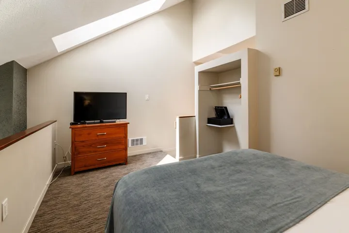Bedroom featuring a skylight, carpet flooring, and high vaulted ceiling