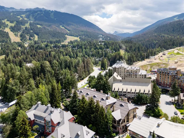 Drone / aerial view of a forest and mountains