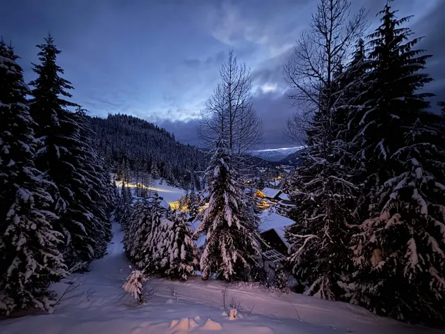 Snow-covered evergreens frame a mountain landscape with distant structures
