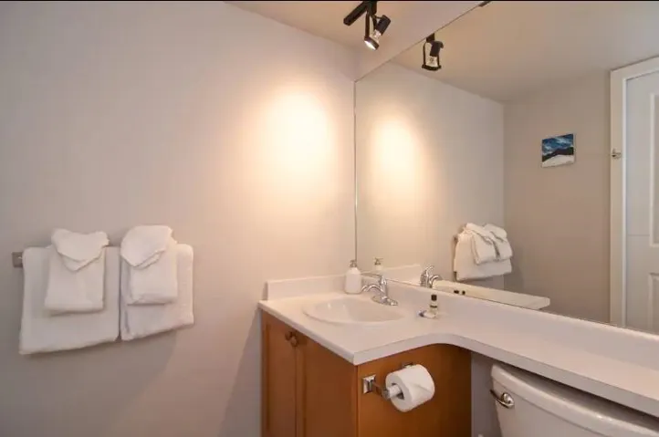 Bathroom with vanity and toilet