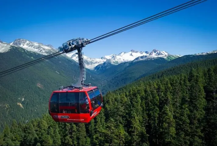 View of mountain backdrop with a forest