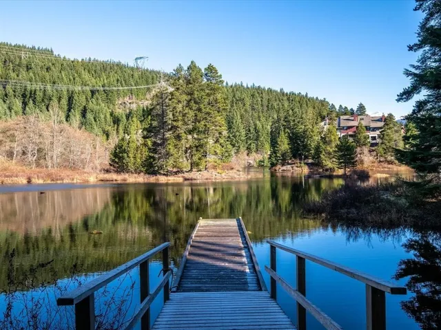 Dock with a forest view and a water view