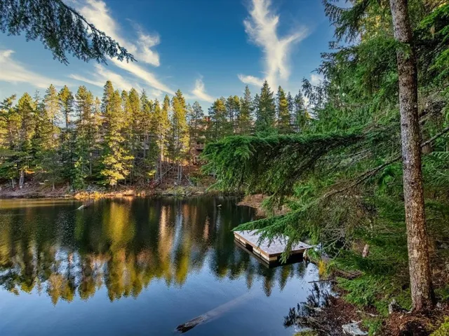 Dock area with a water view and a view of trees