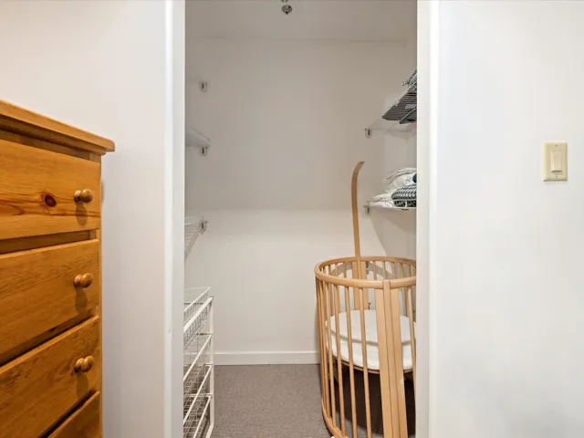 Walk in closet with carpet