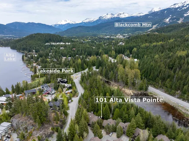Aerial view of a forest and a water and mountain view